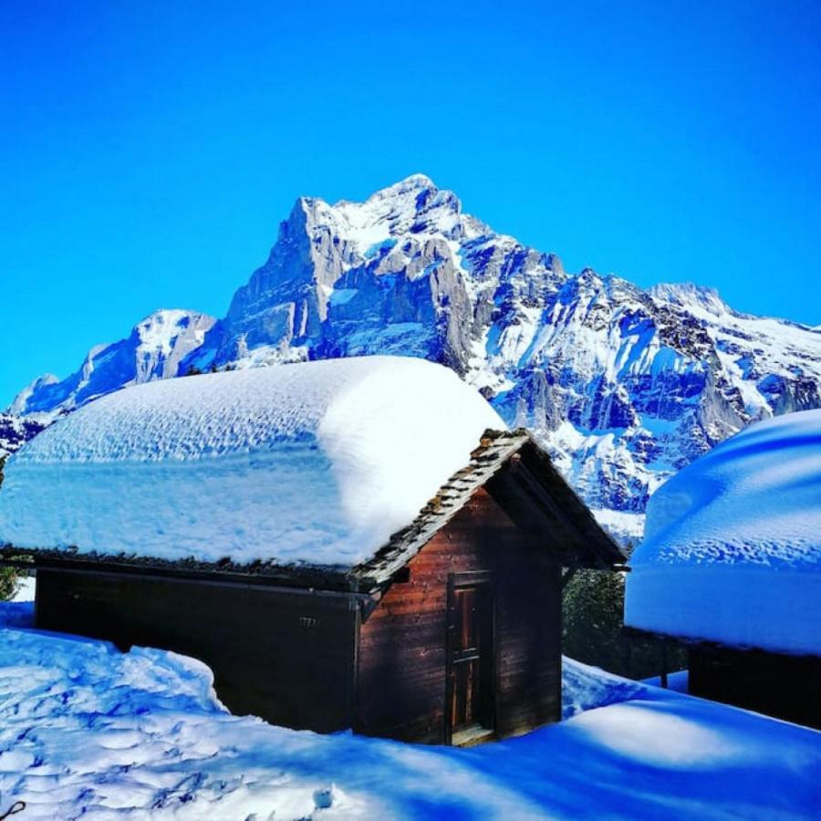 Swisshut Stunning Views Alps Lake - Chalet Erli Därligen Zewnętrze zdjęcie